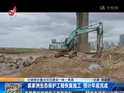 【记者探访重点项目建设一线】南昌：裘家洲生态保护工程恢复施工 预计年底完成