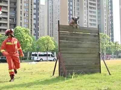 高温“烤”验：消防训练场上的“抗热战士”