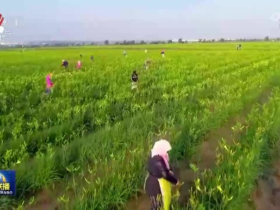 中央电视台《新闻联播》20220809