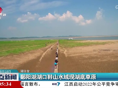 鄱阳湖湖口鞋山水域现湖底草原