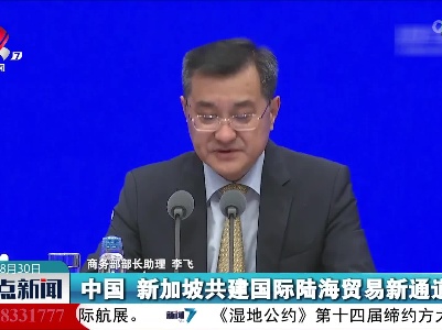 商务部：中国和东盟已成为相互投资最活跃的合作伙伴