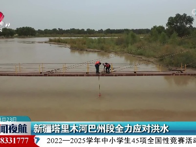 新疆塔里木河巴州段全力应对洪水