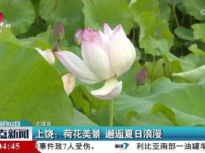 上饶：荷花美景 邂逅夏日浪漫
