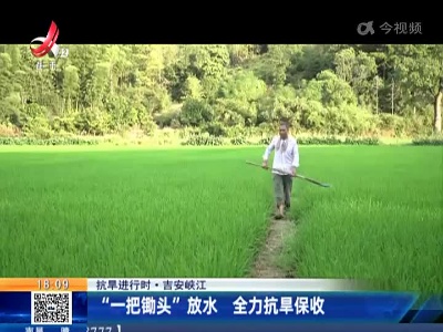 【抗旱进行时】吉安峡江：“一把锄头”放水 全力抗旱保收