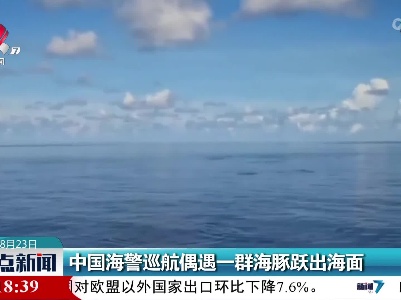 中国海警巡航偶遇一群海豚跃出海面