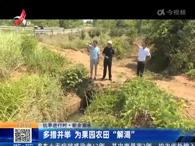 【抗旱进行时】新余渝水：多措并举 为果园农田“解渴”