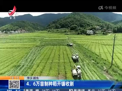 萍乡湘东：4.6万亩制种稻开镰收割