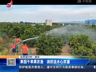 【抗旱进行时】新余：果园干旱果农急 消防送水心欢喜
