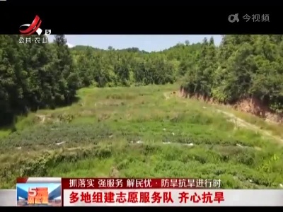 【抓落实 强服务 解民忧·防旱抗旱进行时】多地组建志愿服务队 齐心抗旱