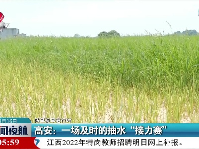 【防旱抗旱进行时】高安：一场及时的抽水“接力赛”