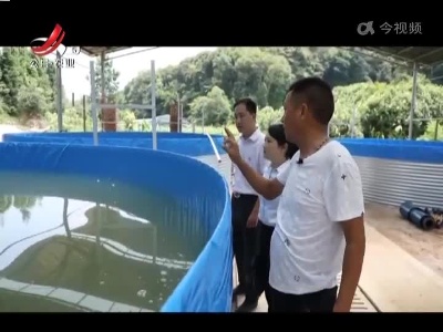 【抓落实 强服务 解民忧】乐平：大棚养鱼闯新路 合作社成“保险库”