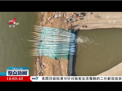 整点新闻20220817 14:00