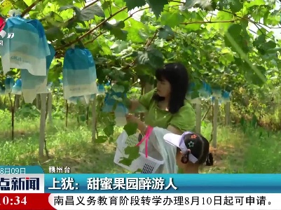 上犹：甜蜜果园醉游人