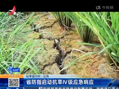 【抗旱进行时】江西：省防指启动抗旱IV级应急响应