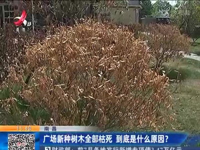 都市现场·午间版20220815