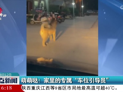 萌萌哒！家里的专属“车位引导员”