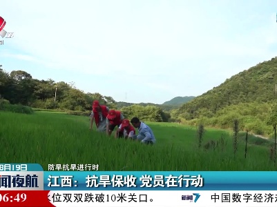 【防旱抗旱进行时】江西：抗旱保收 党员在行动