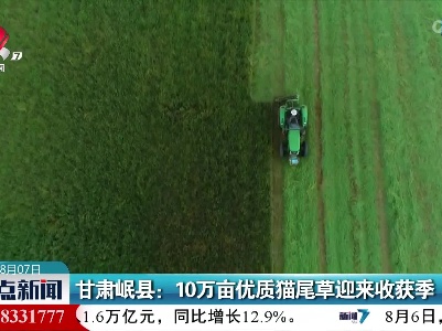 甘肃岷县：10万亩优质猫尾草迎来收获季