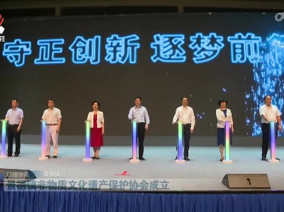 景德镇非物质文化遗产保护协会成立