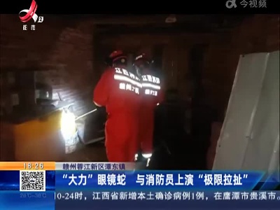 赣州蓉江新区潭东镇：“大力”眼镜蛇 与消防员上演“极限拉扯”