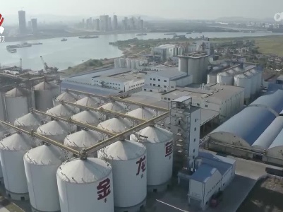 细分赛道 全链发展 天下米粉看江西