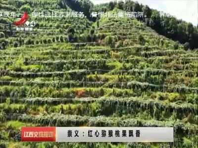 江西文旅报道20220818