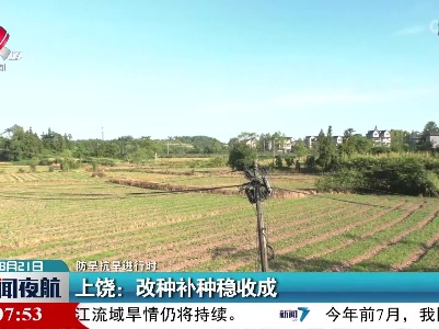 【防旱抗旱进行时】上饶：改种补种稳收成