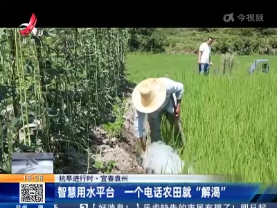 【抗旱进行时】宜春袁州：智慧用水平台 一个电话农田就“解渴”