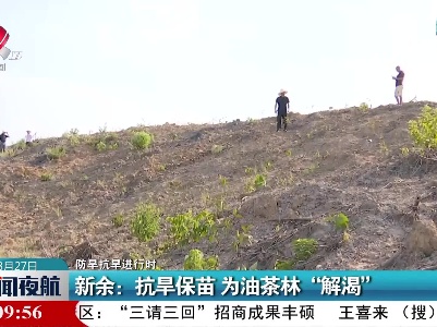 【防旱抗旱进行时】新余：抗旱保苗 为油茶林“解渴”