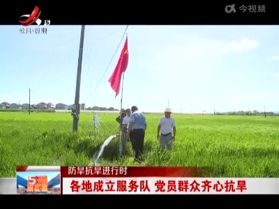 【防旱抗旱进行时】各地成立服务队 党员群众齐心抗旱