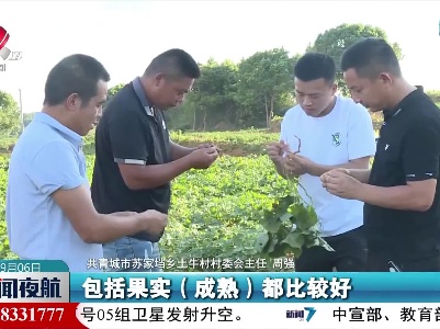 【防旱抗旱进行时】合理用水 滴灌精准抗旱保丰收