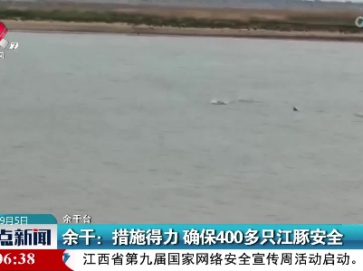余干：措施得力 确保400多只江豚安全