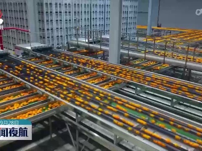我国加快农业绿色发展 绿色优质农产品供给持续增加
