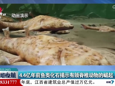 4.4亿年前鱼类化石揭示有颌脊椎动物的崛起