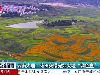 云南大理：花田交错宛如大地“调色盘”