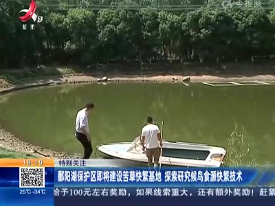 【特别关注】鄱阳湖保护区即将建设苦草快繁基地 探索研究候鸟食源快繁技术