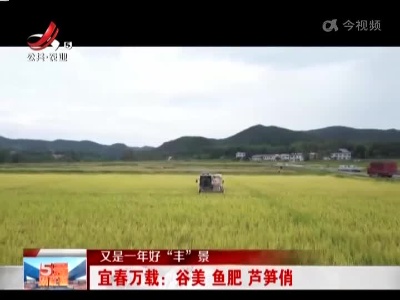 五哥帮忙团20220914