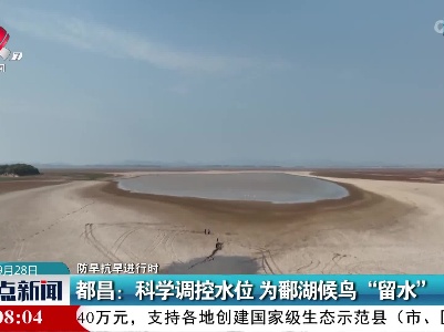 【防旱抗旱进行时】都昌：科学调控水位 为鄱湖候鸟“留水”