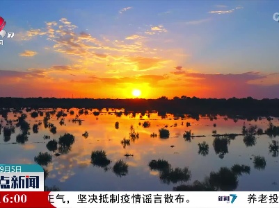 新疆尉犁：又逢胡杨飘絮时