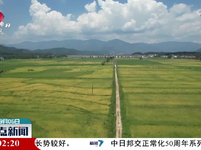 整点新闻20220906 12:00