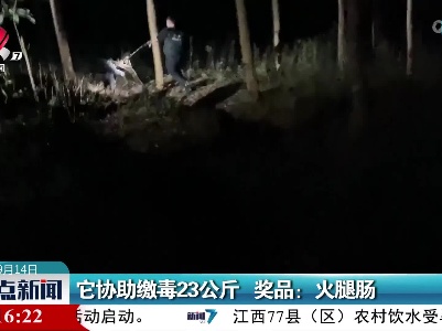 它协助缴毒23公斤 奖品：火腿肠
