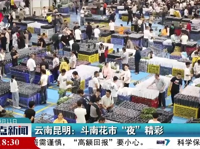 云南昆明：斗南花市“夜”精彩