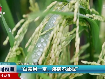 【节令之美·白露】“白露用一宝，疾病不敢扰”
