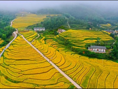 【地评线】江右时评：感悟十年成就  汲取奋进力量