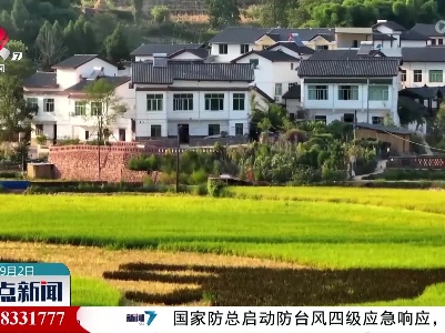 重庆：抗旱保苗显成效 彩稻田长势良好