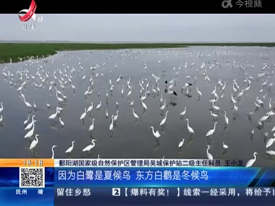 鄱阳湖保护区：首批越冬候鸟东方白鹳飞抵鄱阳湖 冬候鸟夏候鸟“握手”