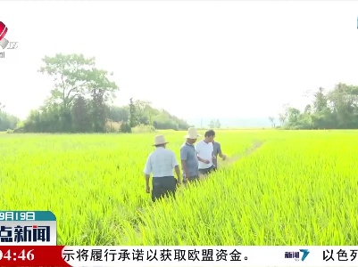 整点新闻20220919 12:00