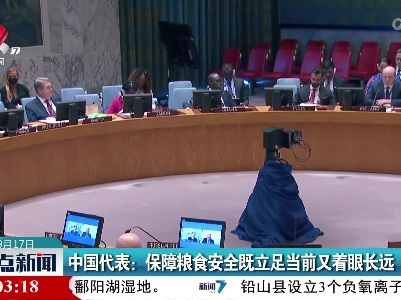 中国代表：保障粮食安全既立足当前又着眼长远