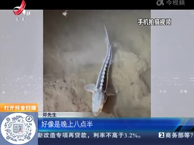 重庆：市民长江边钓起“怪鱼” 竟是一级保护动物长江鲟