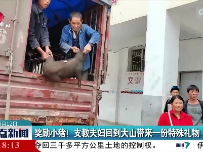 奖励小猪！支教夫妇回到大山带来一份特殊礼物